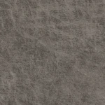 Northwest Paloma Grey
