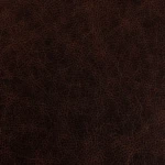 SALOON-TEXAS - LEATHER